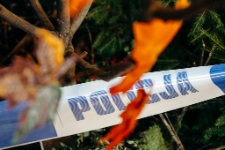 Festiwal Kryminału 2025 (fot.31) [Dokument ikonograficzny]