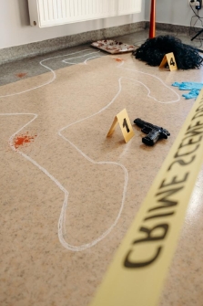 Festiwal Kryminału 2025 (fot.32) [Dokument ikonograficzny]