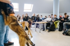 Zajęcia z psami, Jacek Falkenberg (fot. 4) [Dokument ikonograficzny]