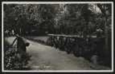 Ohlau – Partie im Park [Dokument ikonograficzny]