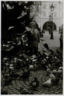 Gołebiarka 1 [Dokument ikonograficzny]