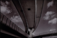 Konkurs miesiąca, luty 2022, miejsce 2 [Dokument ikonograficzny]