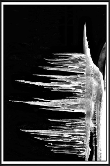 Konkurs miesiąca, marzec 2022, miejsce 1 [Dokument ikonograficzny]