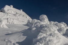 Konkurs miesiąca, marzec 2022, miejsce 2 [Dokument ikonograficzny]