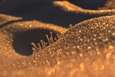 Konkurs miesiąca, marzec 2022, miejsce 3 [Dokument ikonograficzny]