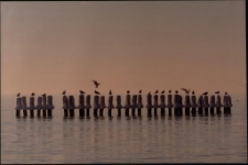 Konkurs miesiąca, kwiecień 2022, miejsce 3 [Dokument ikonograficzny]