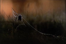 Konkurs miesiąca, czerwiec 2022, miejsce 2 [Dokument ikonograficzny]