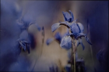 Konkurs miesiąca, czerwiec 2022, miejsce 3 [Dokument ikonograficzny]