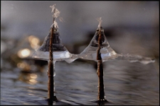 Konkurs miesiąca, sierpień 2022, miejsce 3 [Dokument ikonograficzny]