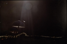 Konkurs miesiąca, listopad 2022, miejsce 1 [Dokument ikonograficzny]