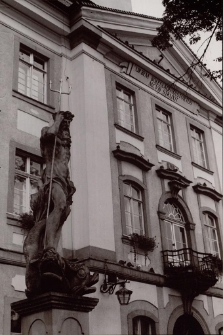 Fontanna Neptuna [Dokument ikonograficzny]