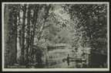 Ohlau – Ohlepartie im Park [Dokument ikonograficzny]