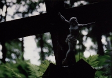 Zapomniane (jeleniog&oacute;rski cmentarz) 2 [Dokument ikonograficzny]