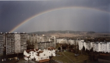 Po burzy na Zabobrzu II [Dokument ikonograficzny]