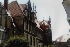 Tercet jeleniog&oacute;rski [3] [Dokument ikonograficzny]