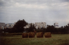 Zabobrze "4" [Dokument ikonograficzny]