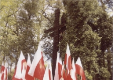 Jeleniog&oacute;rzanie 2008 [1] [Dokument ikonograficzny]