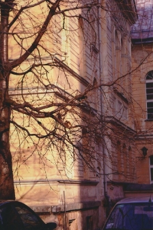 Miedzy światłem a cieniem [Dokument ikonograficzny]