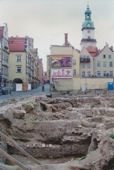 Kamienne struktury Jeleniej ... [Dokument ikonograficzny]