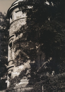 Dom z wieżą [Dokument ikonograficzny]