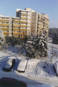 Zima 2010 : Zabobrze [Dokument ikonograficzny]