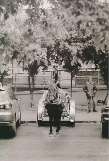 Parking [Dokument ikonograficzny]