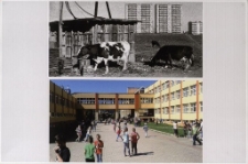 Na Zabobrzu II było - a jest [Dokument ikonograficzny]