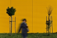 Wok&oacute;ł wielkiego sklepu 4 [Dokument ikonograficzny]