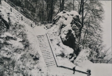 Schody [Dokument ikonograficzny]