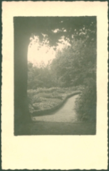 Park [Dokument ikonograficzny]