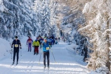 Bieg Piast&oacute;w : 6 km (fot. 12) [Dokument ikonograficzny]