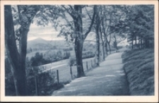Jelenia Góra - Wzgórze Kościuszki z widokiem na Śnieżkę [Dokument ikonograficzny]