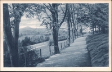 Hirschberg in Schlesien Am Cavalierberg mit Blick nach der Schneekoppe [Dokument ikonograficzny]