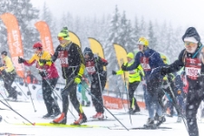 Bieg Piast&oacute;w : 50 km (fot. 8) [Dokument ikonograficzny]