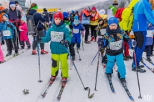 Bieg Piast&oacute;w : Bieg Przedszkolaka (fot. 9) [Dokument ikonograficzny]