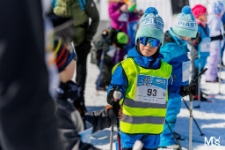 Bieg Piast&oacute;w : Bieg Przedszkolaka (fot. 18) [Dokument ikonograficzny]