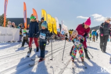 Bieg Piast&oacute;w : Bieg Przedszkolaka (fot. 12) [Dokument ikonograficzny]