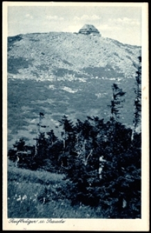 Reifträger u. Baude [Dokument ikonograficzny]