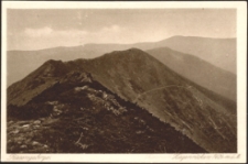 Riesengebirge. Ziegenrücken 1424 m. ü. M. [Dokument ikonograficzny]