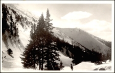 Riesengebirge im Weisswassergrund [Dokument ikonograficzny]