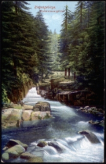 Riesengebirge. Weisswassergrund [Dokument ikonograficzny]