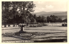 Bad Warmbrunn - Kurpark u. Schneekoppe [Dokument ikonograficzny]