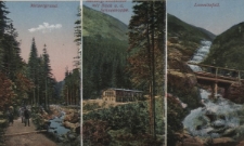 Riesengebirge. 1. Melzergrund, 2. Melzergrundbaude mit Blick a. d. Schneekoppe, 3. Lomnitzfall