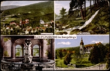 Bad Flinsberg im Isergebirge [Dokument ikonograficzny]