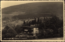Haus Fortuna "Bad Flinsberg im Isergebirge" [Dokument ikonograficzny]