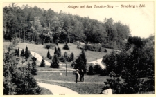 Anlagen auf dem Cavalier-Berg - Hirschberg i. Schl. [Dokument ikonograficzny]