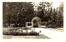 Bad Warmbrunn im Riesengebirge. Partie im Kurpark [Dokument ikonograficzny]