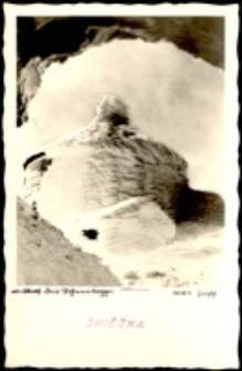 Auf der Schneekoppe [Dokument ikonograficzny]