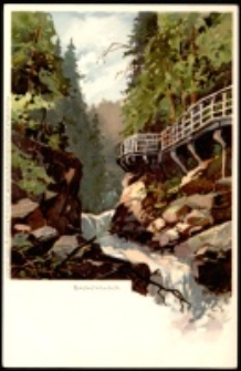 Karkonosze - Wąwóz Kamieńczyka - wg obrazu H. Bahndorfa [Dokument ikonograficzny]